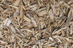 biomass boilers Swallowcliffe